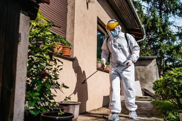 Wasp Removal Services in Charlotte, TX