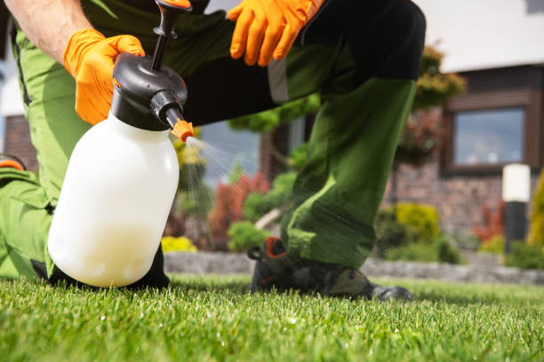 Reliable Charlotte, TX Pest Control Solutions
