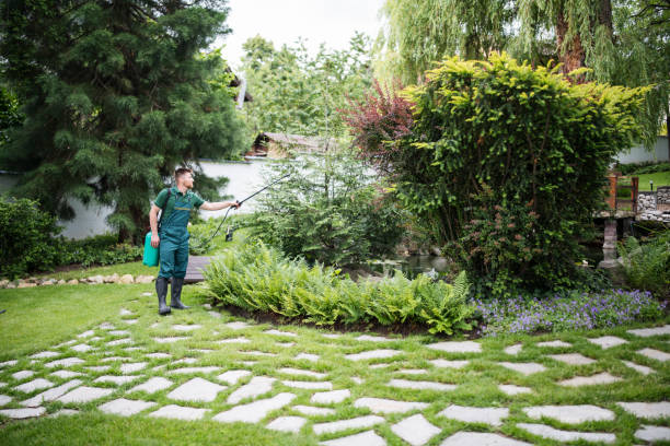 Best Mosquito Control Services  in Charlotte, TX
