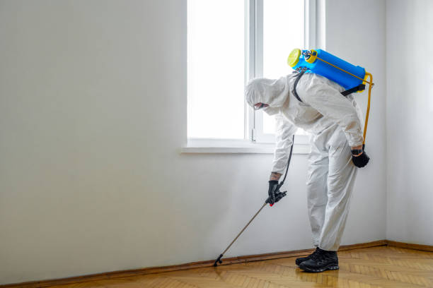 Best Wasp Removal Services  in Charlotte, TX