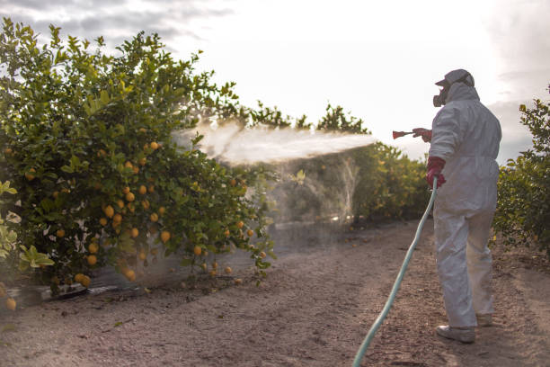 Best Commercial Pest Control Services  in Charlotte, TX