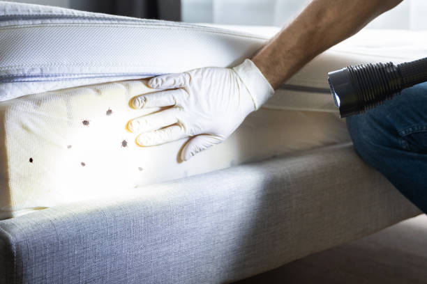Pest Control for Restaurants in Charlotte, TX