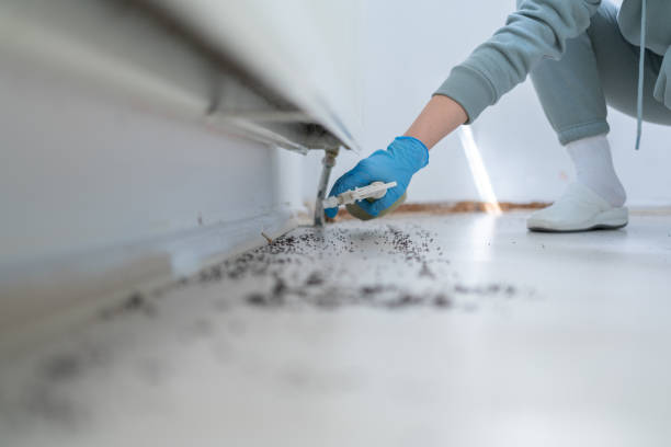 Best Emergency Pest Control  in Charlotte, TX